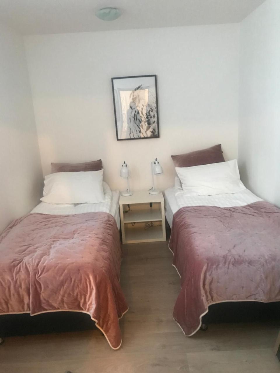 Отель 10B Gamla Laeknishusith Hg15108 Saudarkrokur Экстерьер фото